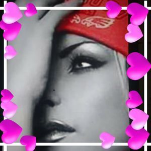 Meet your Posher, Elsa